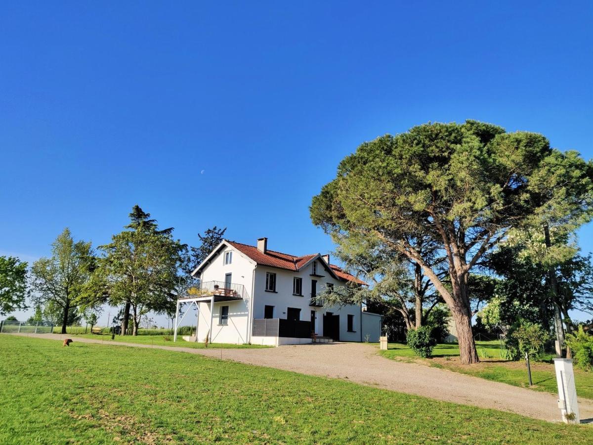 Le Cottage Nature Primeur Sauna Gaillac Entre Albi-Toulouse & Les Cottages Du Tarn Brens  Екстериор снимка